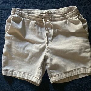 Pacsun volley shorts